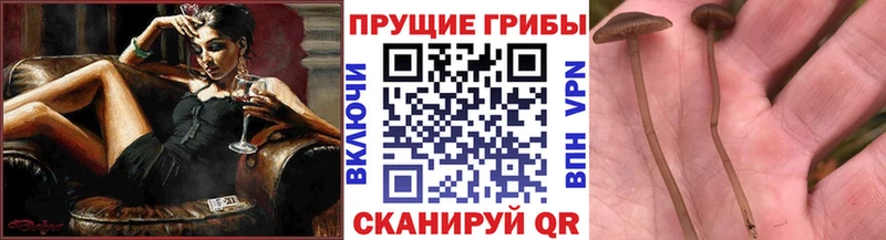 Галлюциногенные грибы мухоморы  Хадыженск 